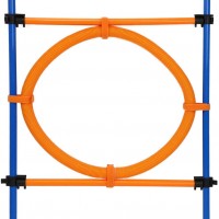 Outdoor Game Dog Agility Training Equipment, Obstacle Course Training, Pet Toy for Speed & Jumps